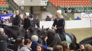 Equine Affaire Massachusetts day 1 Friesian Heritage Drillteam [upl. by Nada]