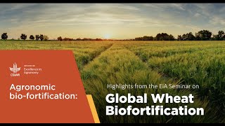 A global review of wheat biofortification [upl. by Lune516]