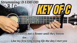 Sining  Dionela ft Jay R  Ukulele Tutorial with Chords and Lyrics Ukulele Play Along [upl. by Brittne]