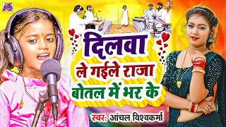 AnchalVishwakarmaLive Non stop2024jhareliya gana [upl. by Ing]