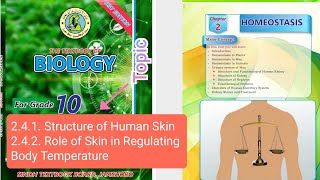 241 Structure of Human Skin 242 Role of Skin in Regulating Body Temperature  Class 10 biology [upl. by Iramo]