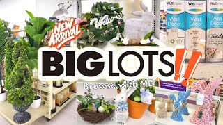 BIG LOTS 2024 ● New Finds ● Shop with me [upl. by Acsirp24]