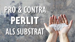 Sind Perlite wirklich immer das perfekte Substrat Pro und Contra aller Eigenschaften [upl. by Clara831]