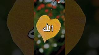 Chal Din Ke Tablighi Me  shortvideo love islam islamic status naat youtubeshorts youtube [upl. by Marlea913]