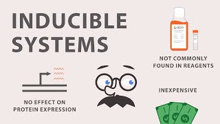 The Cumate Inducible Gene Expression System [upl. by Rachael]