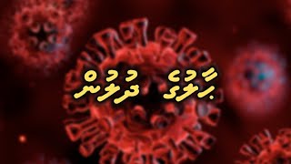 Haaluge dhulun  Ali Rameez I Dhivehi [upl. by Hathcock]