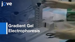 Denaturing Gradient Gel Electrophoresis DGGE l Protocol Preview [upl. by Tay]