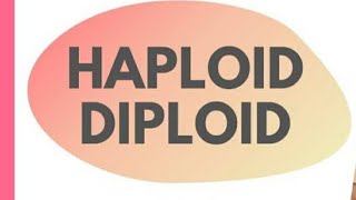 Haploid and Diploid cells Tamil Mightymedicoz [upl. by Justinn]