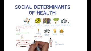 What Makes Us Healthy Understanding the Social Determinants of Health [upl. by Maurene]