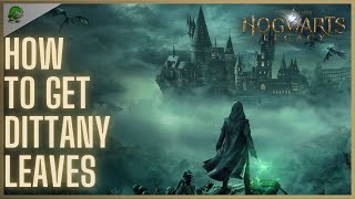 Hogwarts Legacy How to get Dittany Leaves [upl. by Eniala]