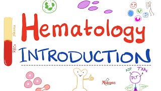 Hematology  Introduction  Hematopoiesis Lets Make RBCs WBCs and Platelets Hematology Playlist [upl. by Kieffer]