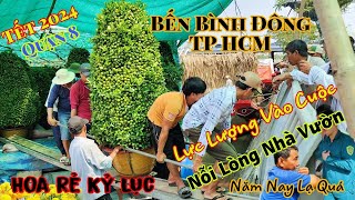 Hoa Tết Rẻ Kỷ Lục Bến Bình Đông Quận 8 TP HCM Kỳ Lạ Tiểu Thương Mất Hết Chức Năng Vào Cuộc [upl. by Kalie776]