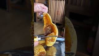 Good honey beehives found in the forest extracted from honey bee honey beelover [upl. by Yendirb]