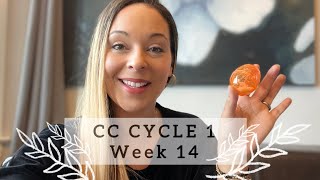 CC Cycle 2 Week 8 Foundations Memory Work amp Homeschool Ideas [upl. by Yeznil]