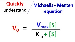 Michaelis Menten equation [upl. by Marcelia]