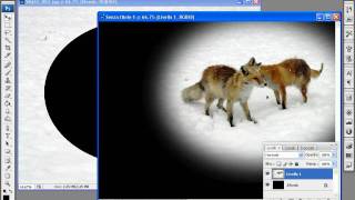 Tutorial Photoshop CS3  come ritagliare una foto con dissolvenza [upl. by Cogen]