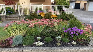 Garden Tour Boulevard Flower Bed 4K  September 1 2024 [upl. by Artek401]