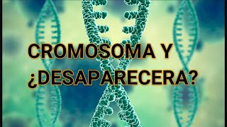 Cromosoma Y está desapareciendo de la sangre de los hombres [upl. by Tnecniv943]