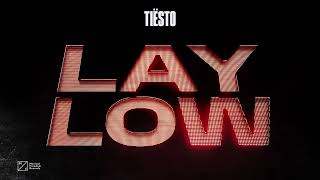 Tiësto  Lay Low Official Visualizer [upl. by Ecyaj]