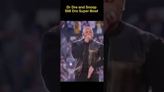 Snoop Dogg And Dr Dre Perform At The Super Bowl [upl. by Darell]