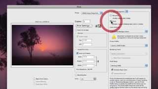 How To Configure Photoshop Printing Settings [upl. by Barrus274]