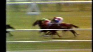 Show Gate NZ 1977 Trentham Stakes [upl. by Earaj]