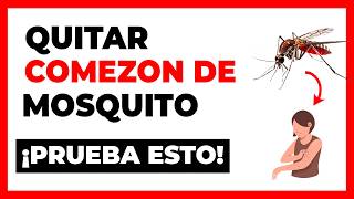 Como Quitar la Comezon de Picadura de Mosquito 🦟  Remedios Caseros y Consejos Prácticos [upl. by Jinny732]