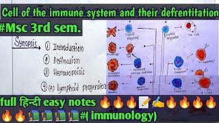 cell of the immune system and their defrentitation msc 3rd sem fullहिन्दी easy notes 🔥🔥📚📚🔥🔥 [upl. by Willin955]