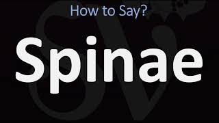 How to Pronounce Spinae CORRECTLY [upl. by Kirstin]