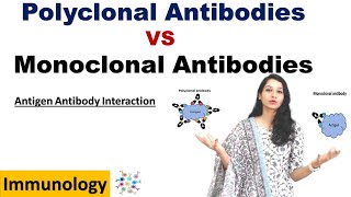 Polyclonal Antibodies VS Monoclonal Antibodies I Antigen Antibody Interaction I Immunology [upl. by Gerti]