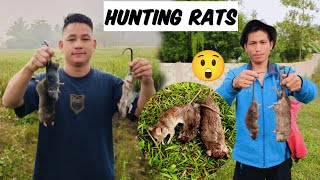 Hunting Rats in paddy field  Chumukedima Nagaland  Bishal vlogger [upl. by Naj417]