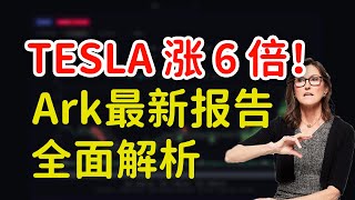 Tesla 暴涨6倍！Ark Invest最新2025估值报告全面解析！ [upl. by Lewan]