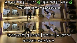 주아나요가다움 저녁반 🌿5월의 이지플로우요가🌿 quotWelshly Arms  Sanctuaryquot 전신스트레칭│밸런스운동│음악요가│뮤직빈야사수원요가 호매실요가 [upl. by Anitroc]