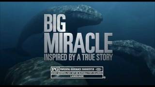 Big Miracle  TV Spot quotAmazingquot [upl. by Eednak720]