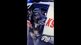 Dispatch Thanks K9 Axel On His Last Shift [upl. by Etnohs]