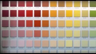 SIKKENS  COLOUR WALL [upl. by Sanez]