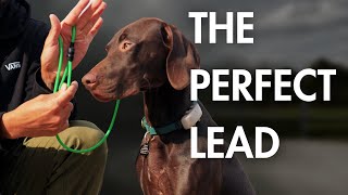 This is the best lead for dog training [upl. by Ataliah]