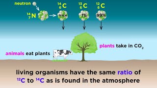 Radiometric Dating Carbon14 and Uranium238 [upl. by Aluor]