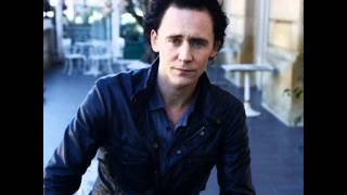 The Red Necklace  Read by Tom Hiddleston  CD 3 Track 13 [upl. by Harmaning]