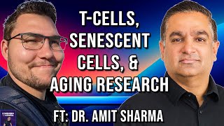 Longevity Senescence Immunology amp Innovating with Dyslexia  Dr Amit Sharma  225 [upl. by Eicnan]