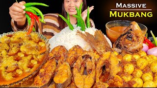 Eating Spicy Mutton Fat Curry With Lots of Fish amp Egg Curry Nepali Mukbang Eating Show [upl. by Bechler476]