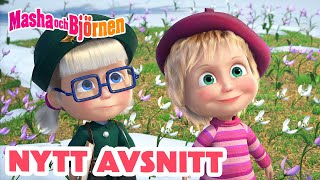 Masha och Björnen ✌️ Nytt avsnitt ✌️ 🐦 Den första svalan 🐧 [upl. by Caddric26]