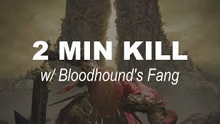 2 min kill with Bloodhounds Fang Build  Radahn Consort of Miquella Elden Ring DLC [upl. by Htes]