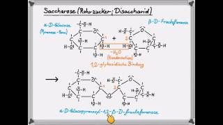 Saccharose [upl. by Eniarrol]