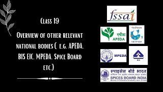 Class 19 Overview of other relevant national bodies eg APEDA BIS EIC MPEDA Spice Board etc [upl. by Eisnyl]