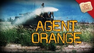 War and Health Agent Orange [upl. by Iinde725]