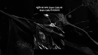 Neurons का जन्म Stem cells का Brain cells में transformation [upl. by Nageek919]