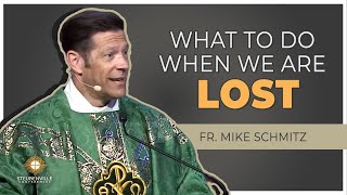 Fr Mike Schmitz  Saturday Homily What To Do When We Are Lost  Steubenville Youth Conference [upl. by Ainod]