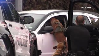 K9 helps Anaheim police officers take carjacking suspect into custody [upl. by Arlena]