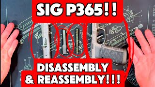 Sig P365 Takedown amp Reassembly MADE EASY [upl. by Welch262]